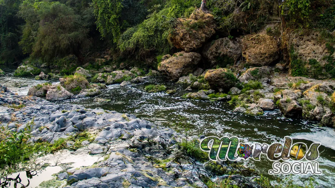 Armonía Fluvial y Belleza Natural: Balneario Apotla, Morelos